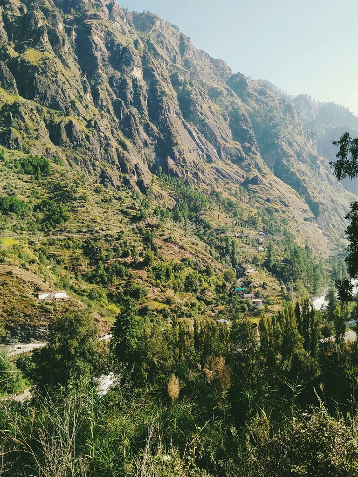 mandi