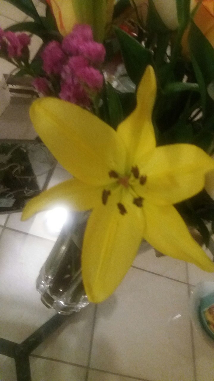 , fresh flowers