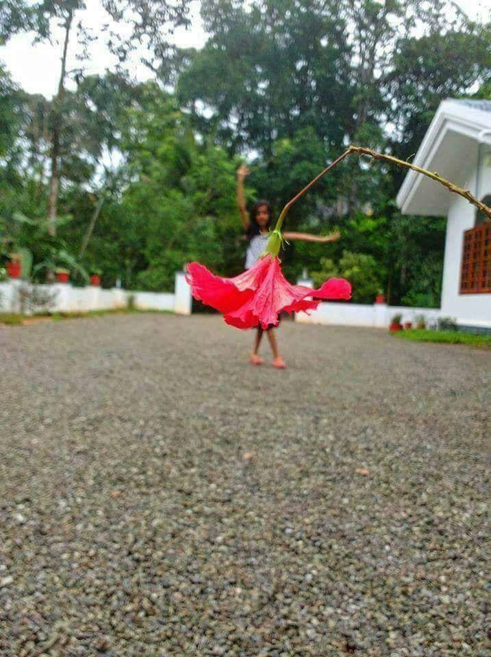 one of ma favorite picture