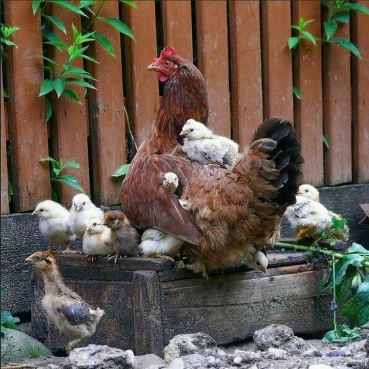 Cute İmage☺