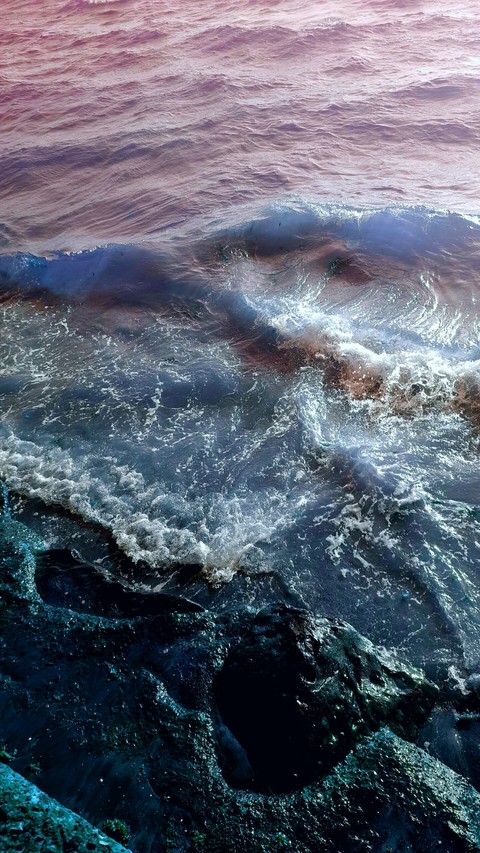sea