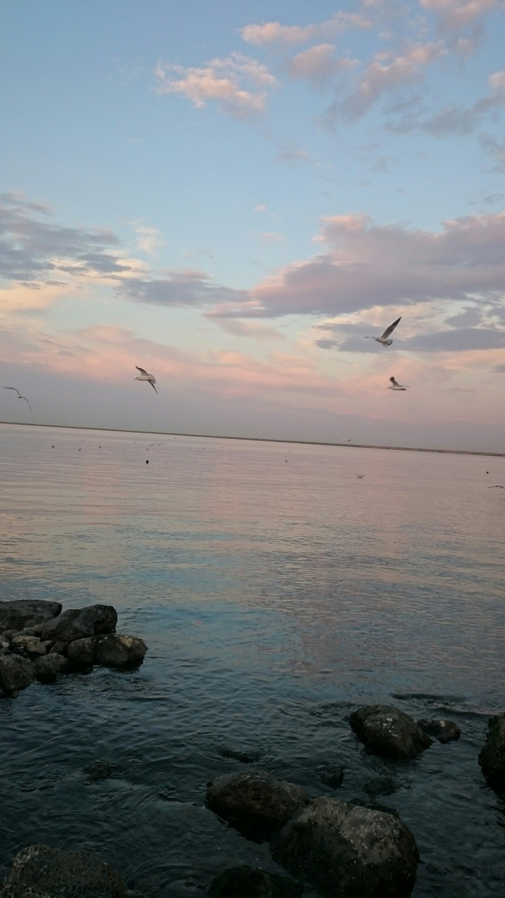 Black Sea