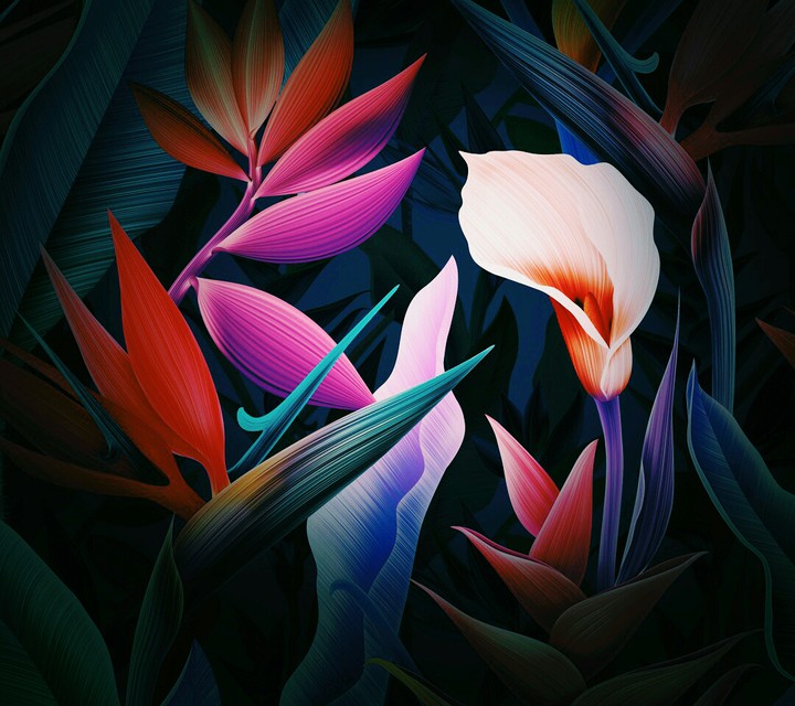♣