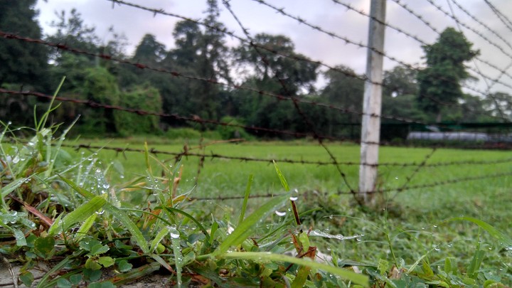 fence