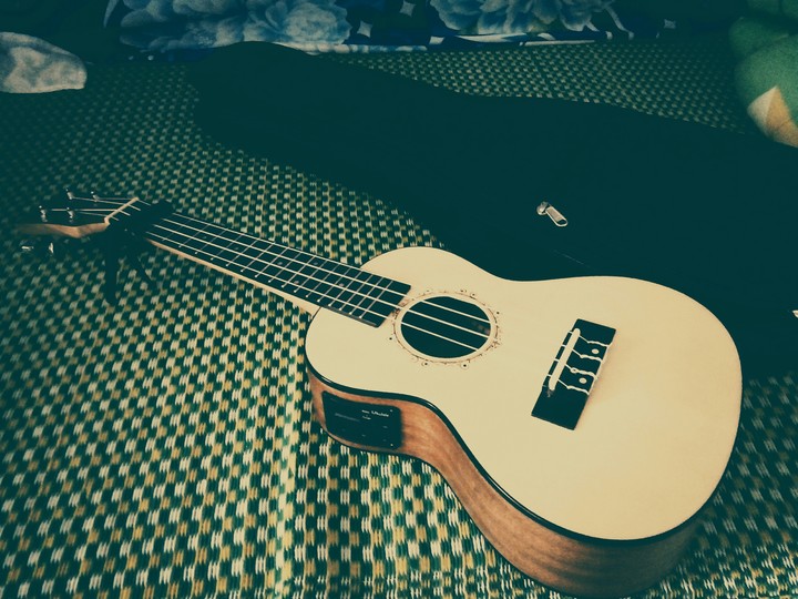 ukulele