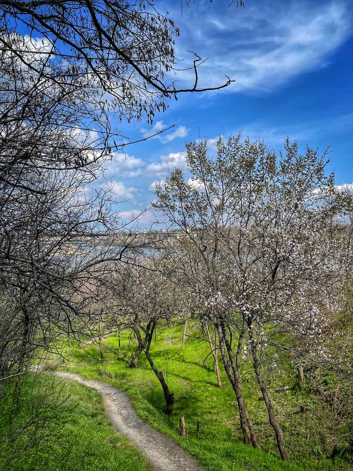 nature