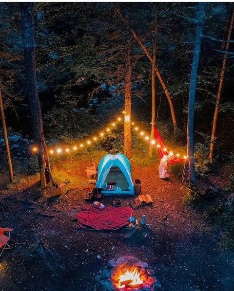 forest, light duvar kağıtları
