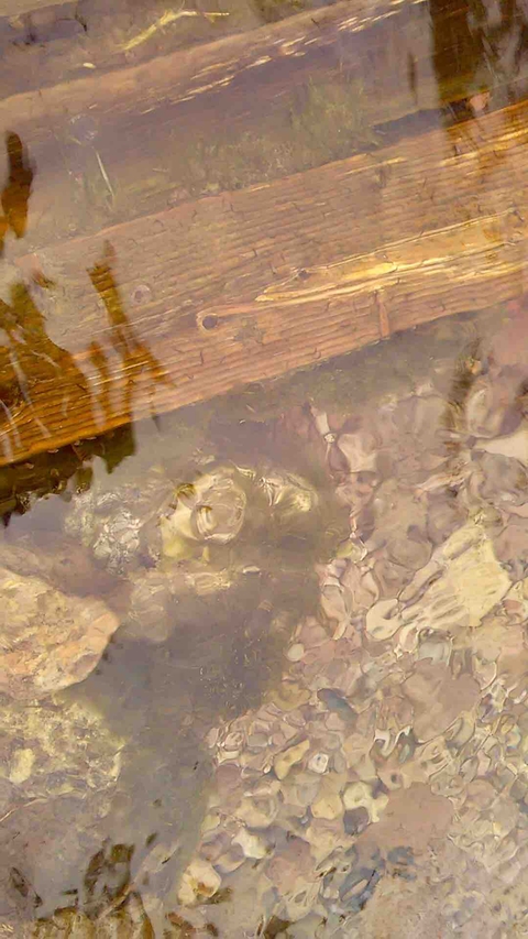 Водная масса