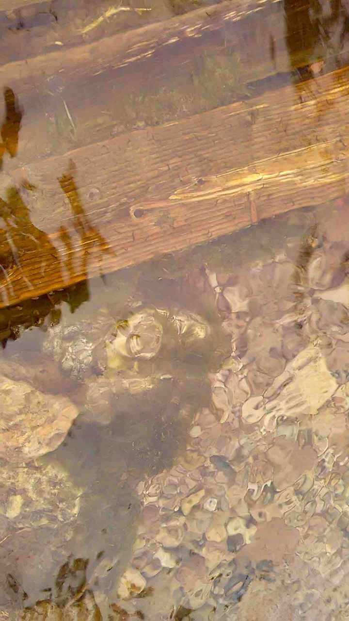 Водная масса