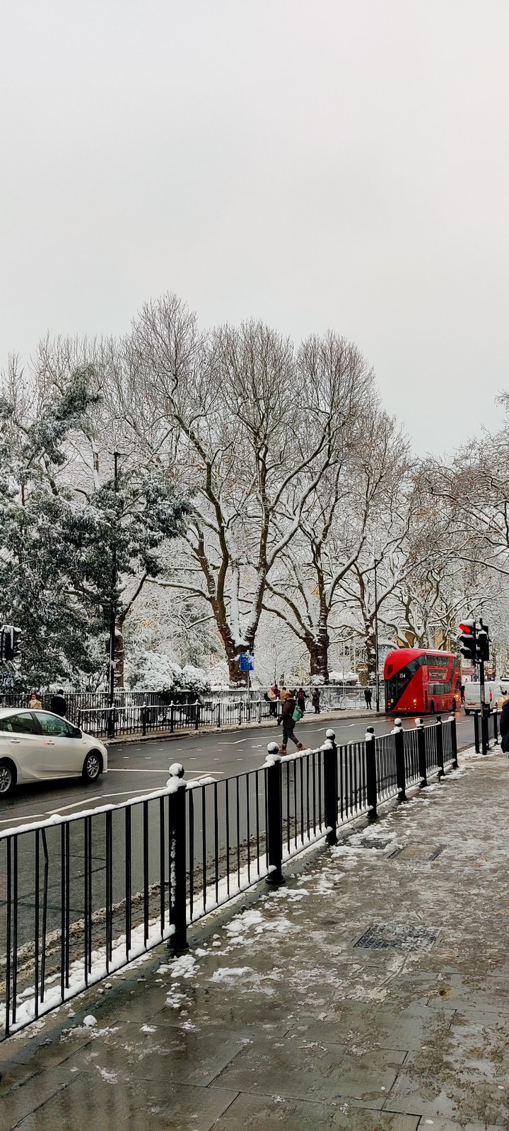 Silent snowfall, peaceful beauty in chaos❄️