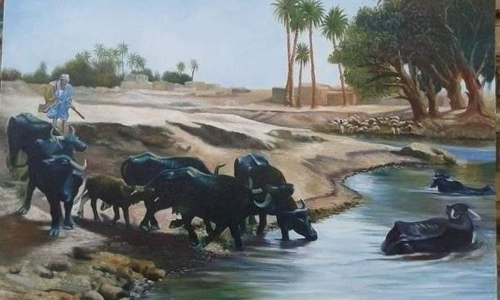 العراق / Iraq