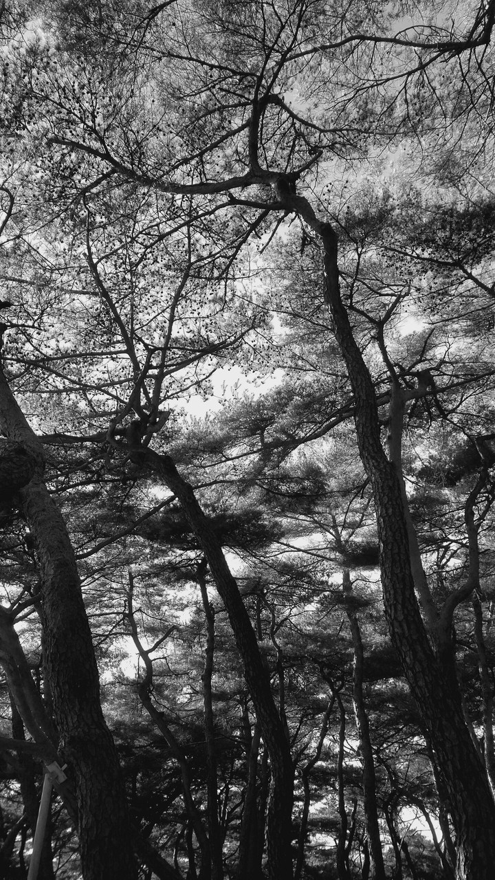 Kyeongju, Korea