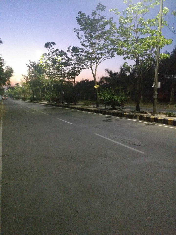 Sunrise