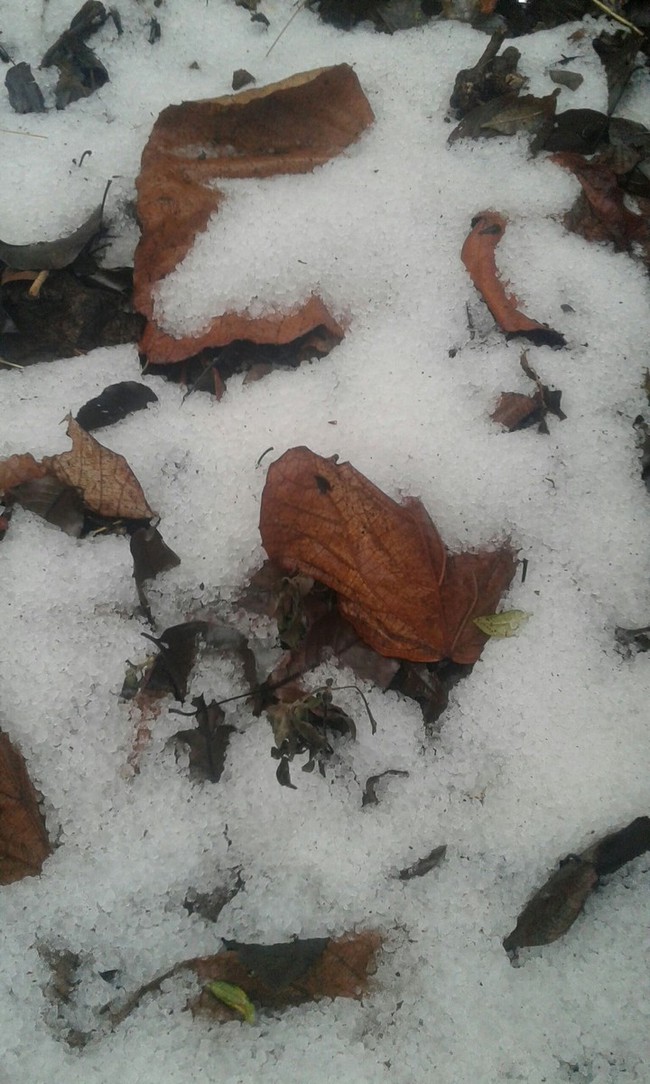 snow
