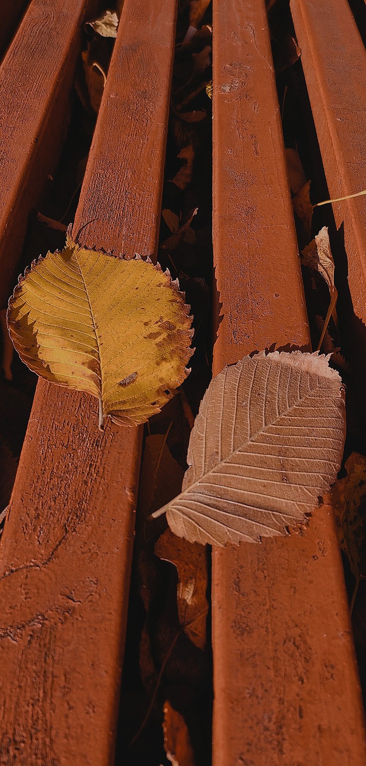 autumn couple