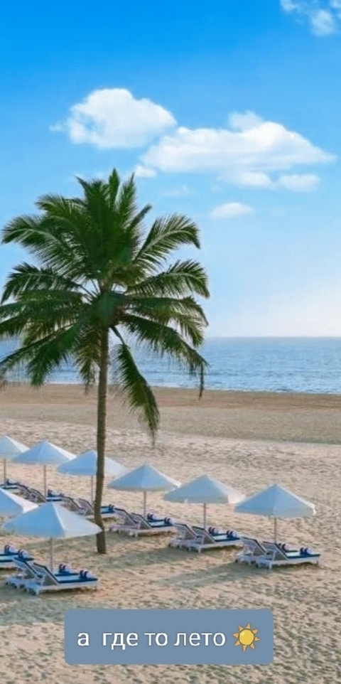 רקעים beach, umbrella