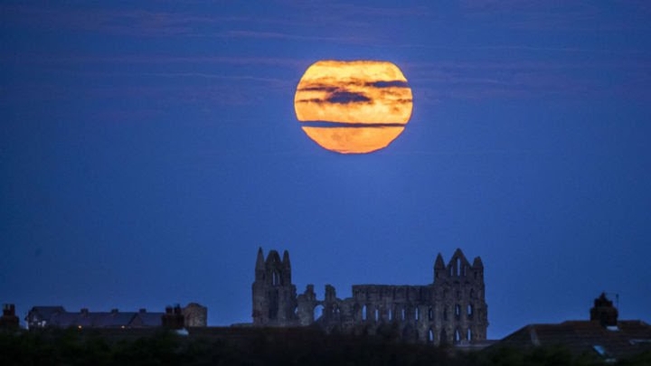 Full moon