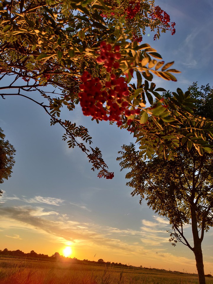 Herbstsonne