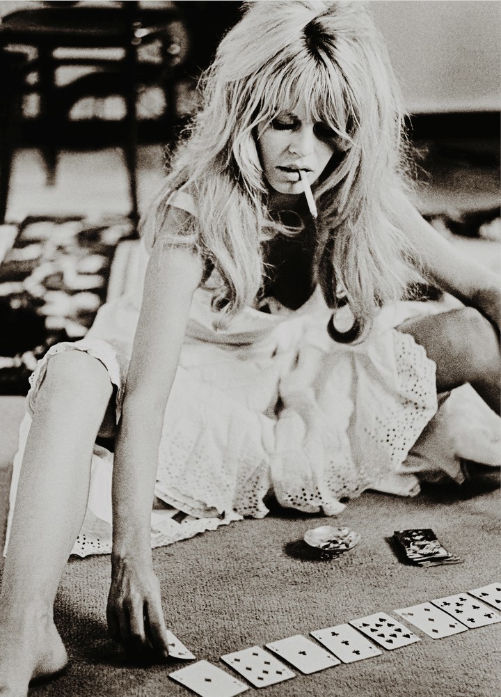 brigitte bardot