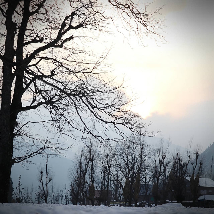 snowset