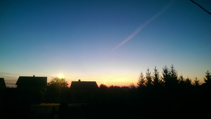 Morning