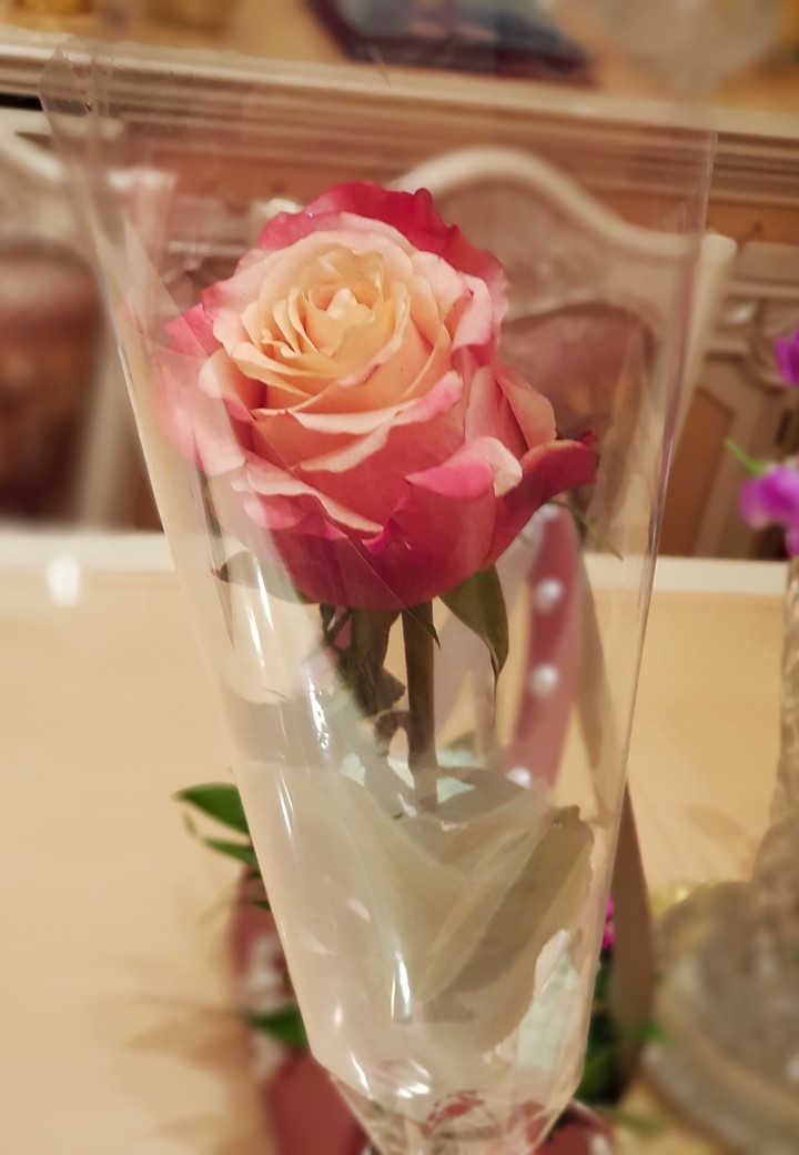 Rose
