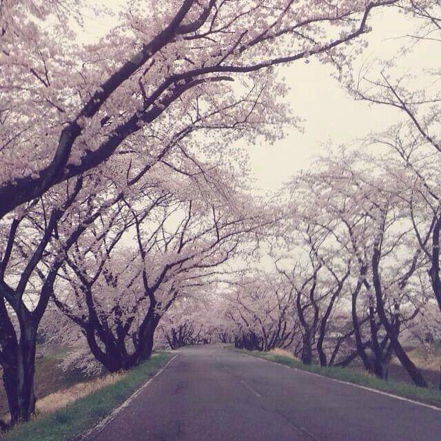 spring