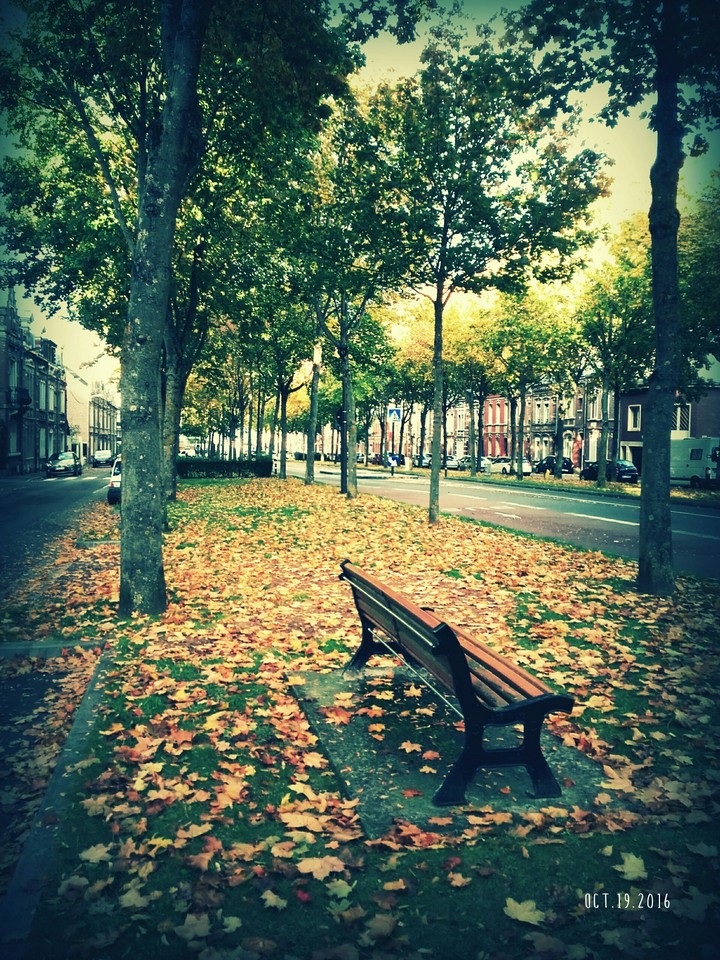 Automne sur le boulevard