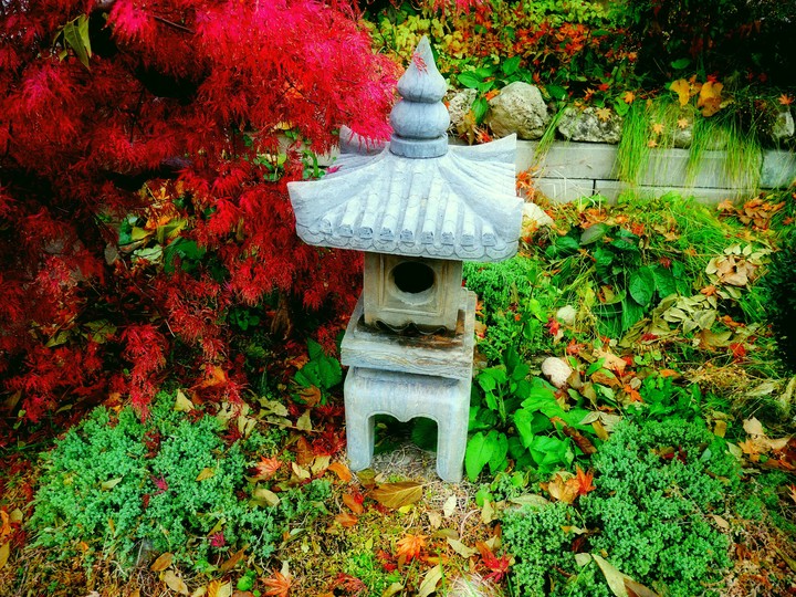 灯篭-Toro-