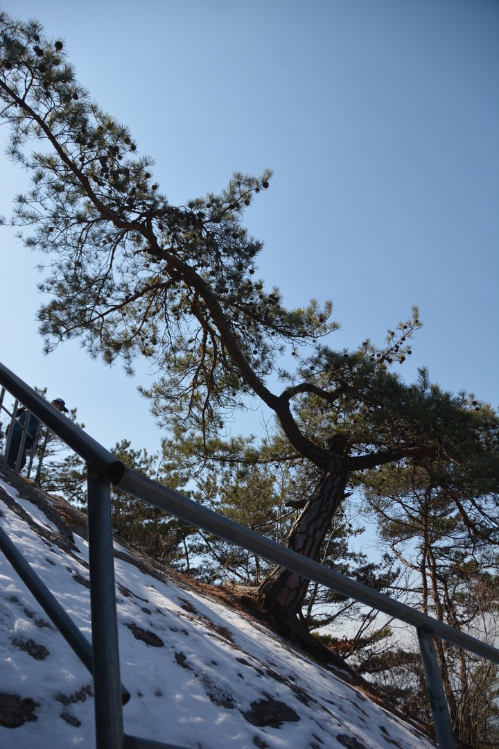 수락산이미지