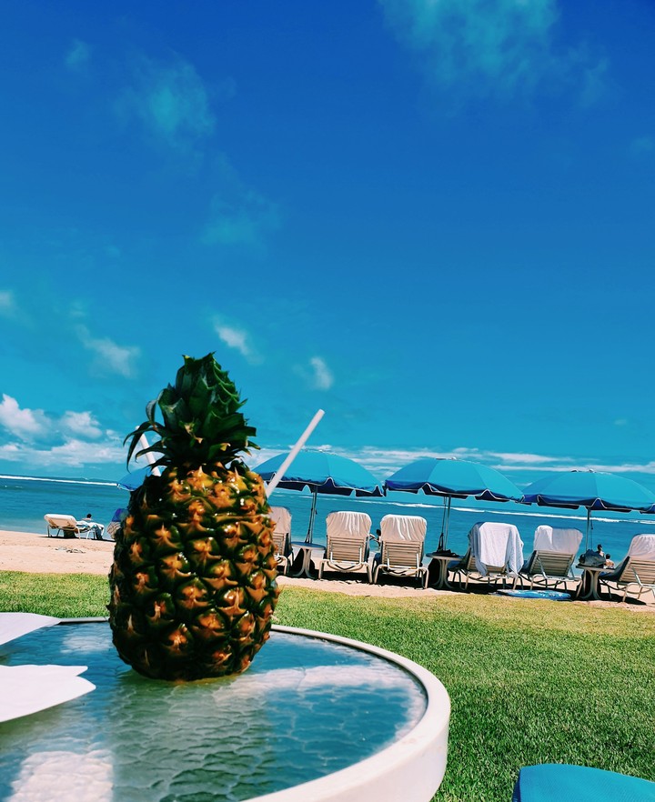 Pineapple's Vacation
