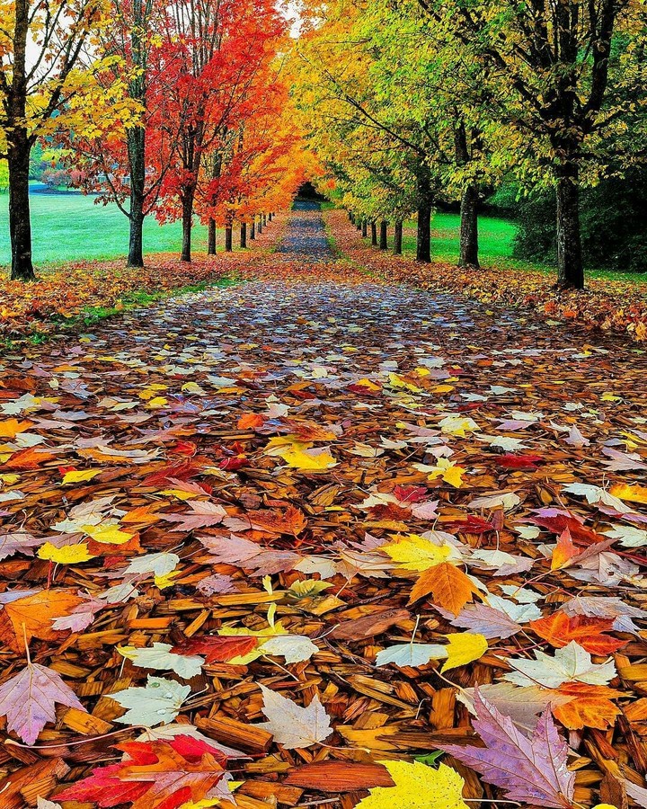#nature