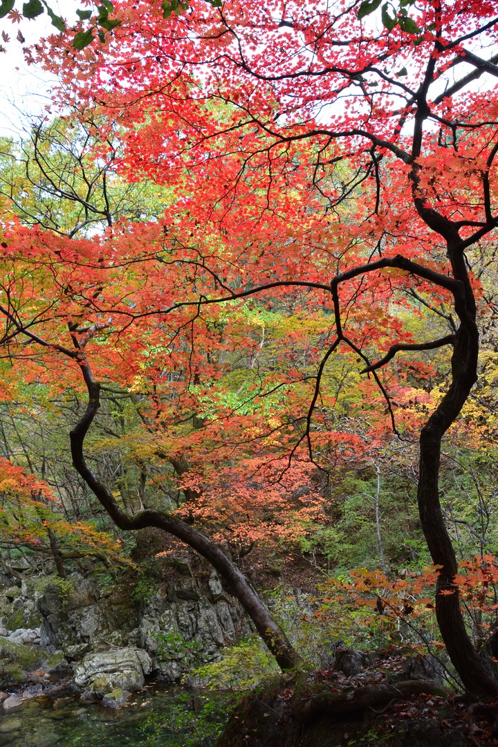 치악산이미지