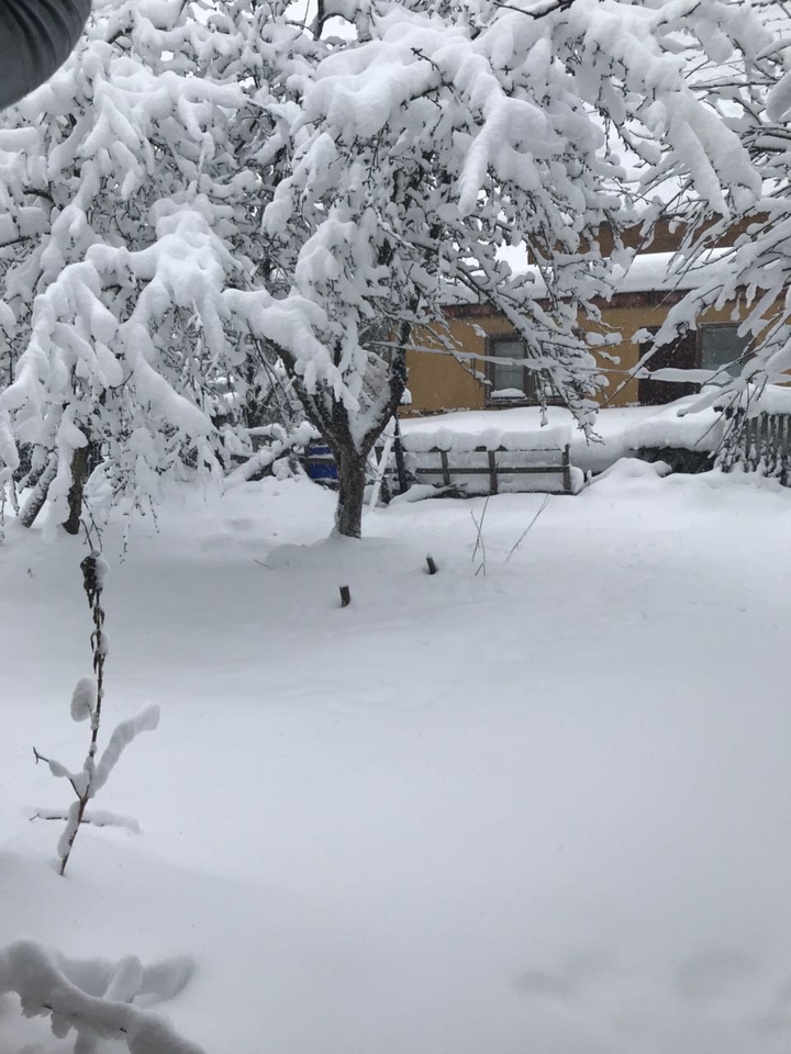 зима