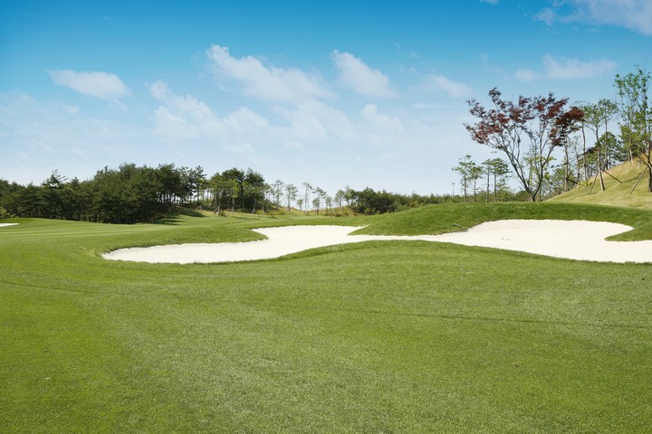 Golf Course