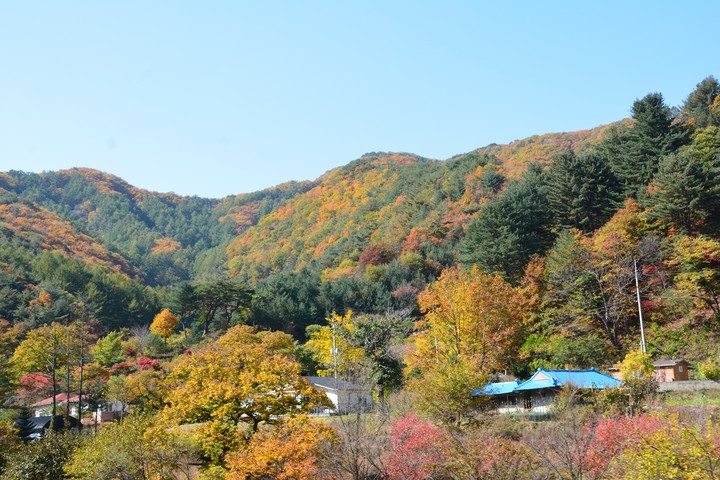 산이미지