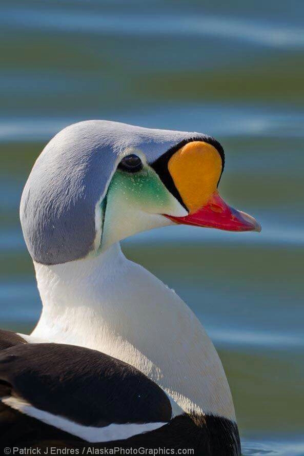beautiful