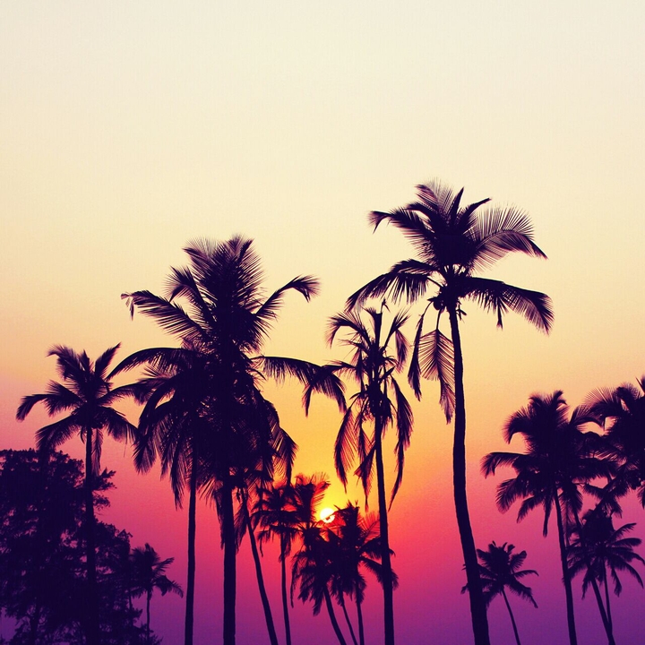 nice day