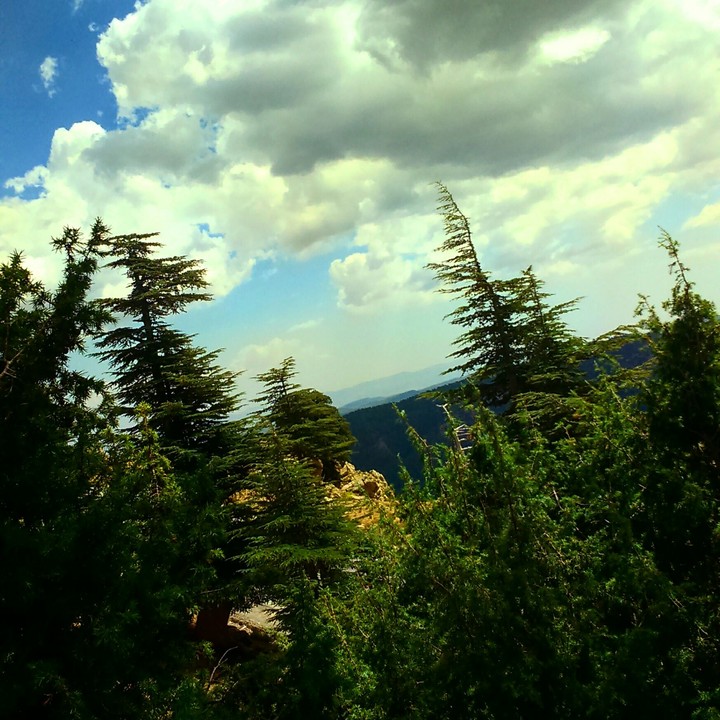 nature