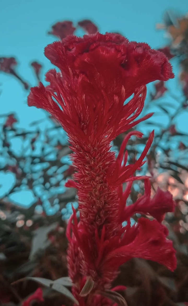 .