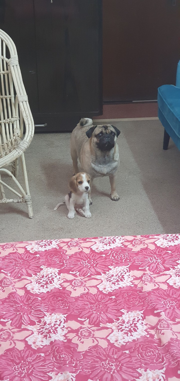 Charlie and Olive