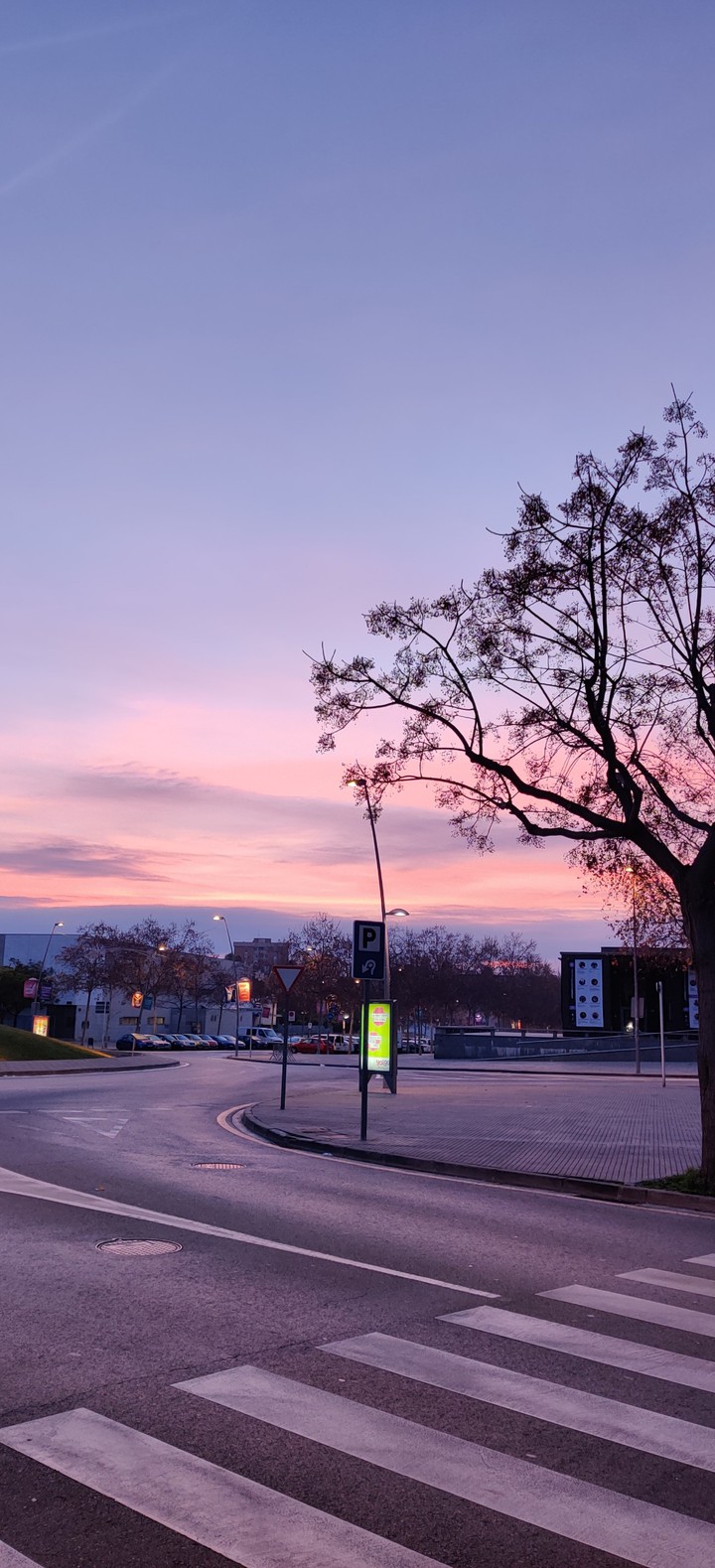 Dawn