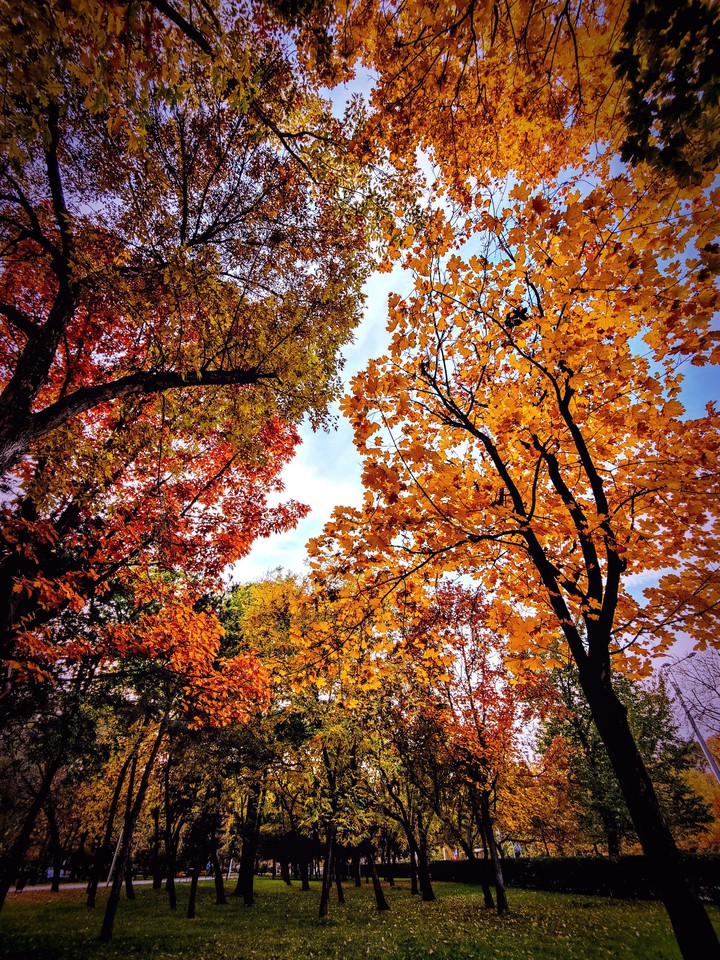 Sunny autumn day