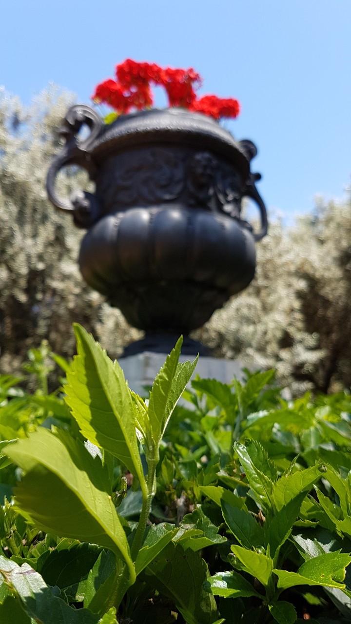 Bahai gardens