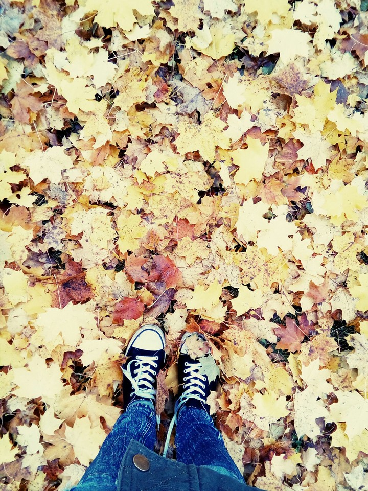 Leaf walk
