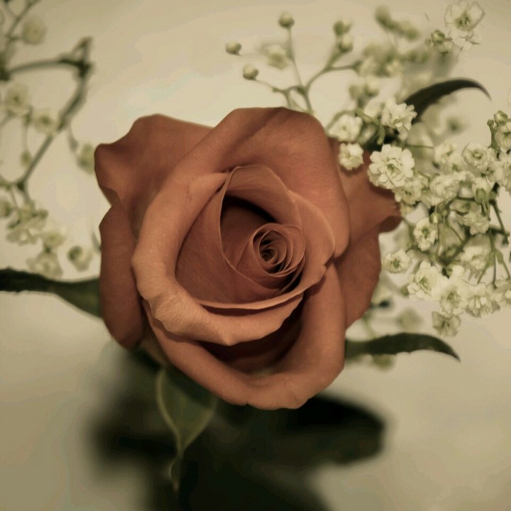 fleur