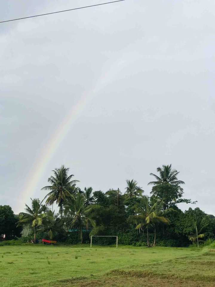 Rainbow Nature