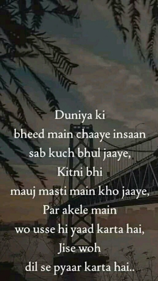True fact