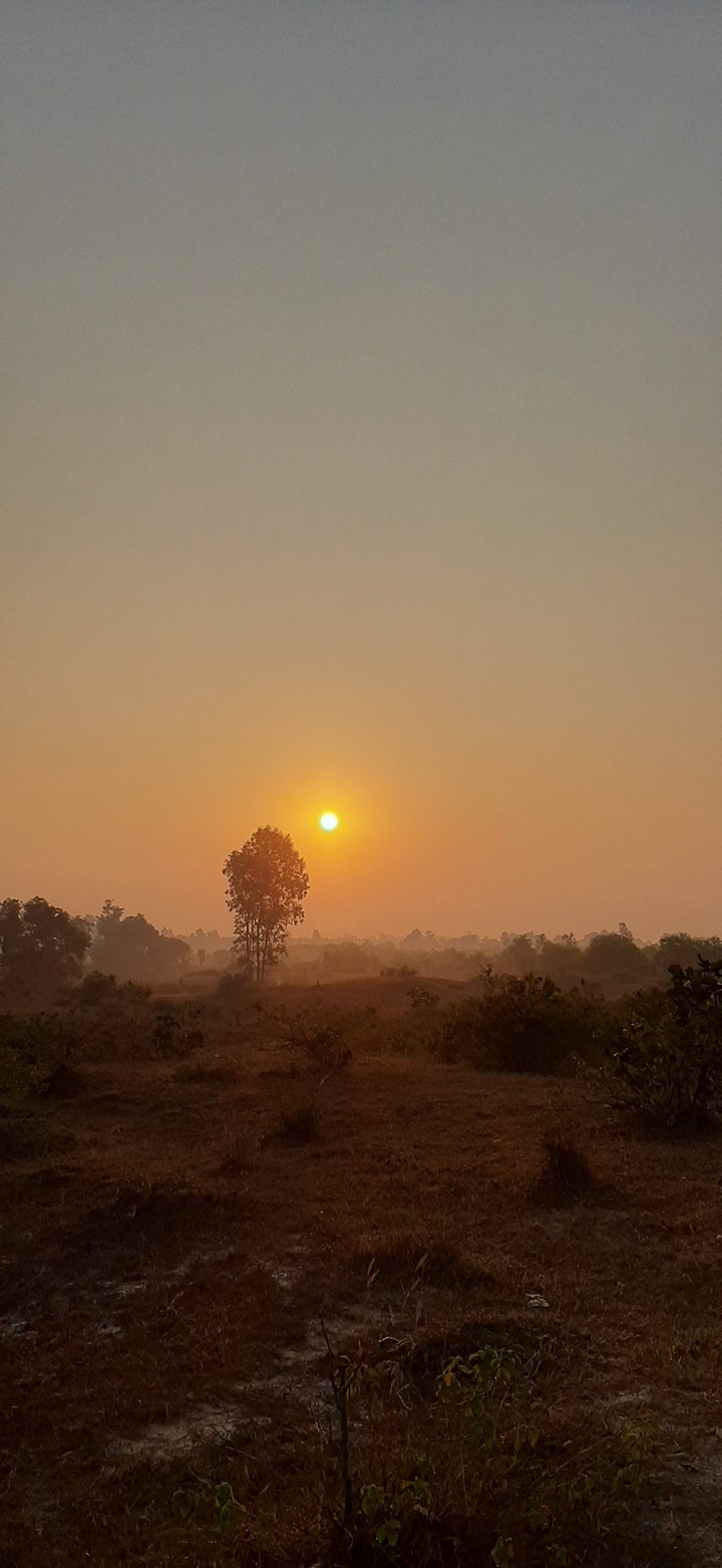 Hazy morning