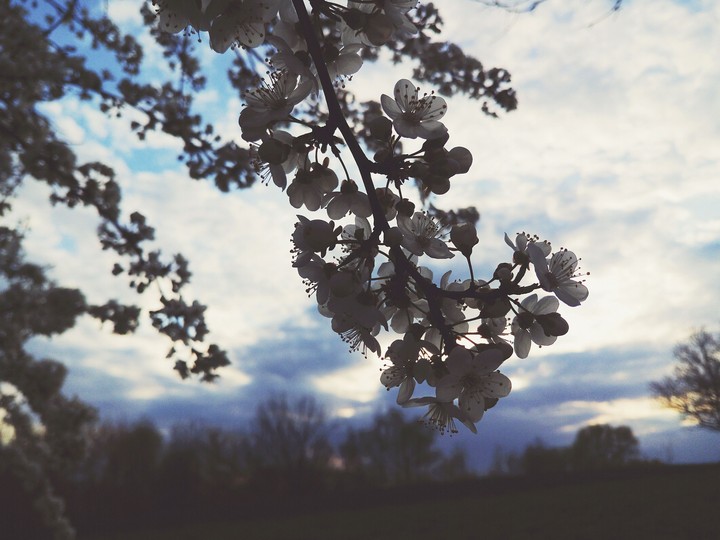 Spring